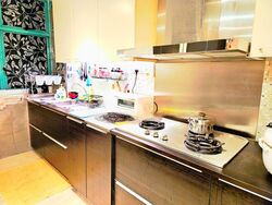 Blk 479 Segar Gardens (Bukit Panjang), HDB Executive #480263651